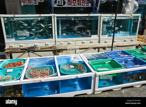 online fish market